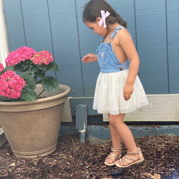 OshKosh B'gosh Dresses Oshkosh Overall Tulle Dress 4t Poshmark